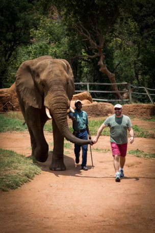 2016-12-18-elephant-sanctuary-south-africa-jpegs-65